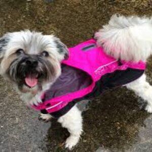 Rogz Sportskin 32" 6558